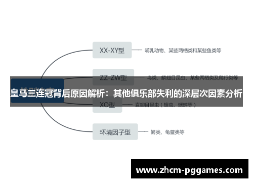 皇马三连冠背后原因解析：其他俱乐部失利的深层次因素分析